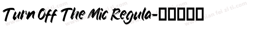Turn Off The Mic Regula字体转换